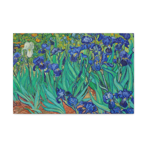 Vincent Van Gogh's Irises (1889)