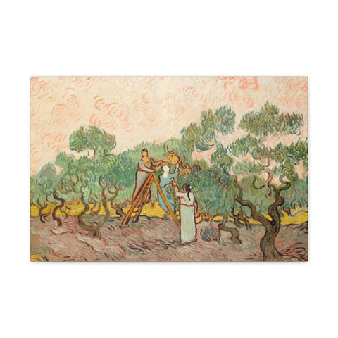 Women Picking Olives (1889) by Vincent Van Gogh