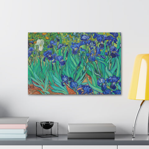Vincent Van Gogh's Irises (1889)
