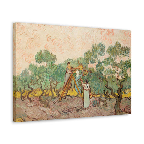 Women Picking Olives (1889) by Vincent Van Gogh